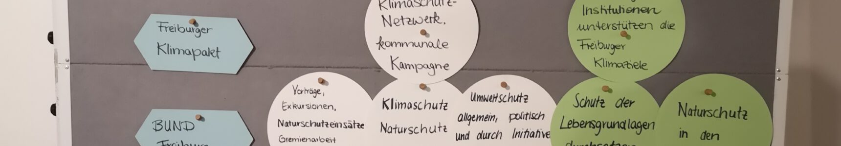 45 Freiburger Initiativen beim Vernetzungstreffen für Klima, Natur und Umwelt